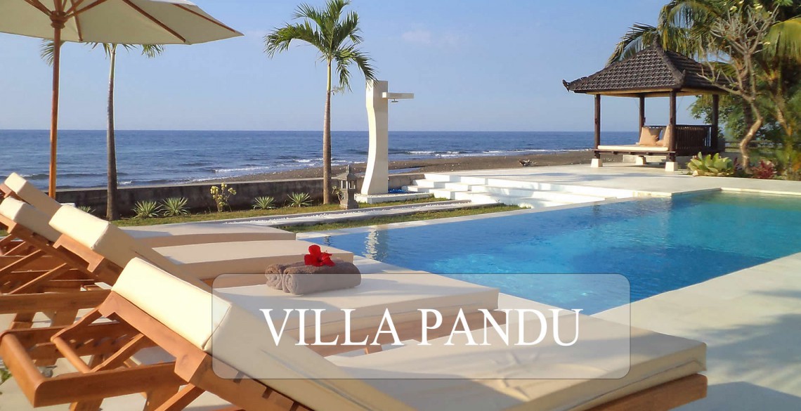 Villa Pandu Pool