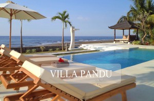 Villa Pandu Pool